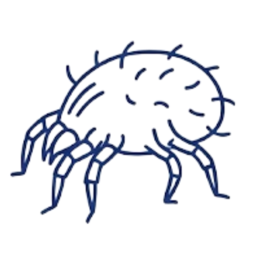 미세해충 아이콘